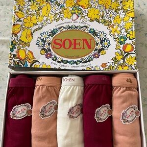 SO-EN Quality Lingerie Women’s Panty 5 Pieces Large